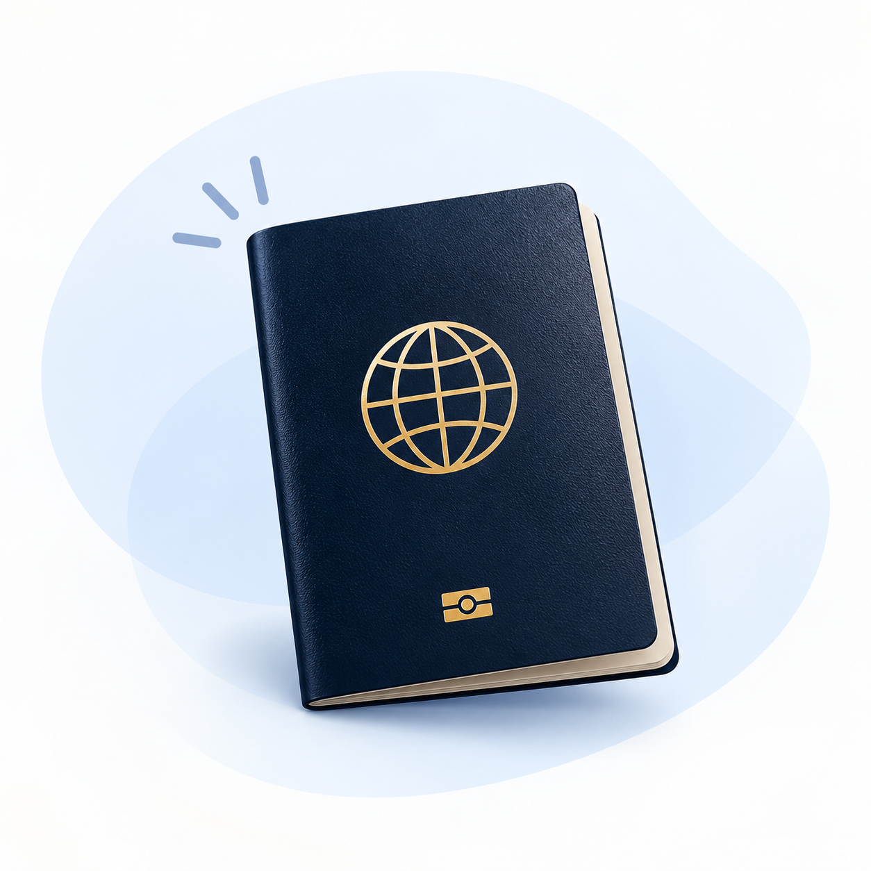 Passport and visa